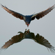 Image for article titled Holy crap, these entries from Nat Geo's 2012 Photo Contest are absolutely gorgeous